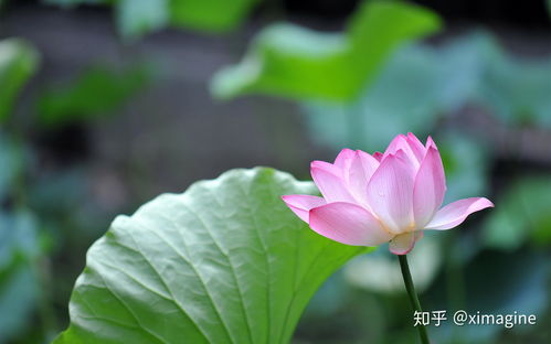 适合收藏的风景壁纸图片