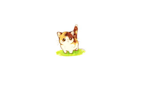 这是你家的主子吗 猫咪插画壁纸