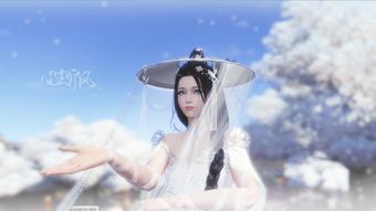 明月千山 天刀心王听风精品壁纸图集赏