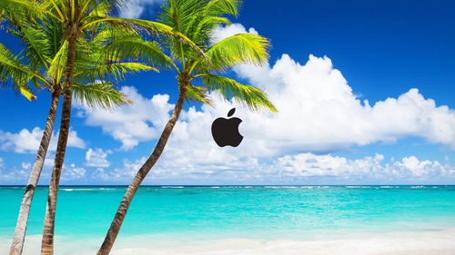 海滩景色mac高清动态壁纸